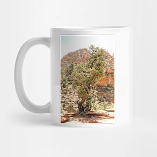 Zion Hike 1 View 1 Mug